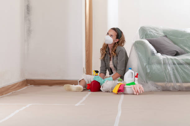 Reliable Mold Remediation contractor in New York, NY by Cheap Mold Removal